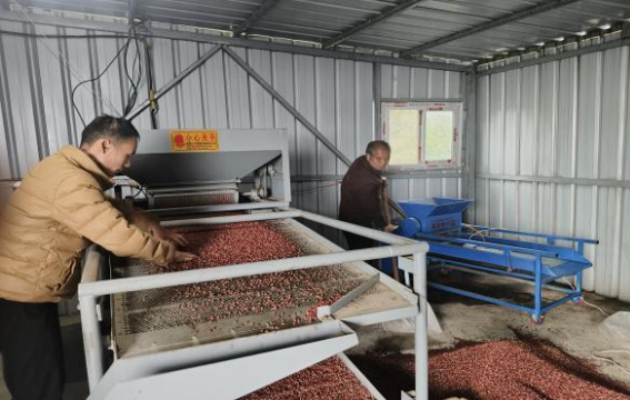 농촌 활성화 작업 업데이트(문제 173)